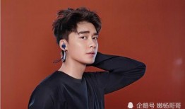 李易峰何炅最新爆料,揭秘娱乐圈幕后故事